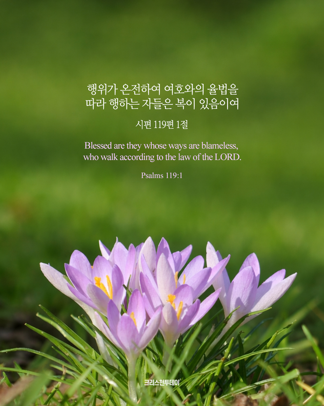 클릭시 이미지 새창.