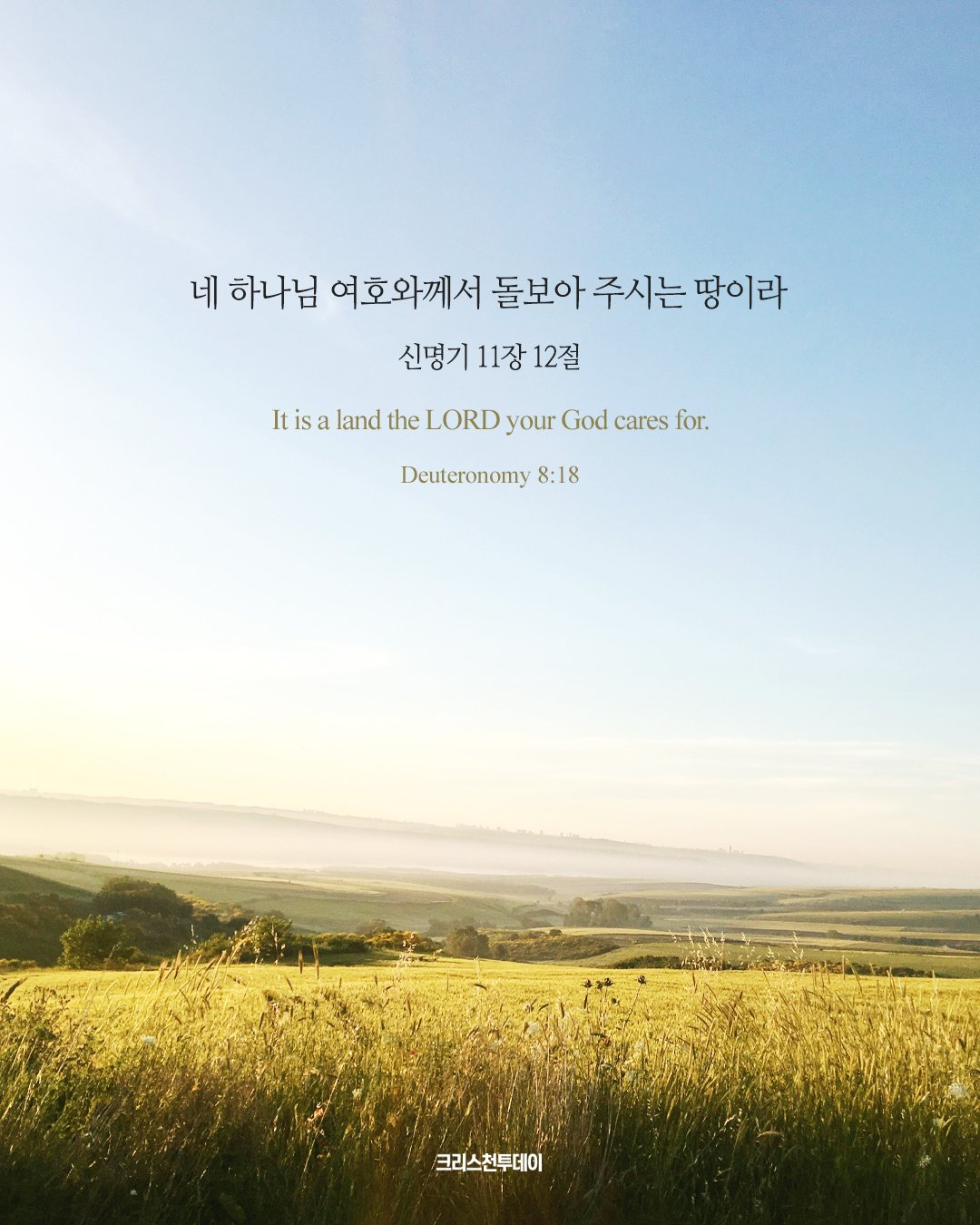 클릭시 이미지 새창.