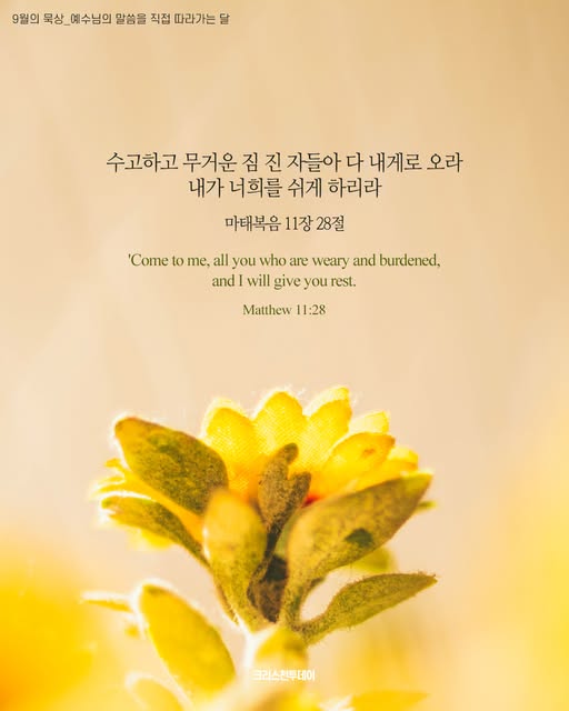 클릭시 이미지 새창.