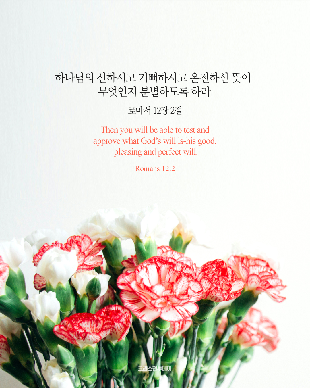 클릭시 이미지 새창.