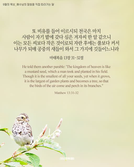 클릭시 이미지 새창.