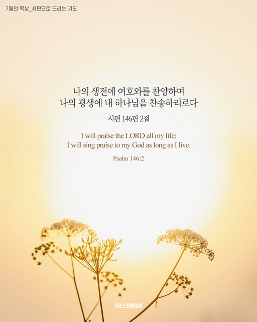 클릭시 이미지 새창.