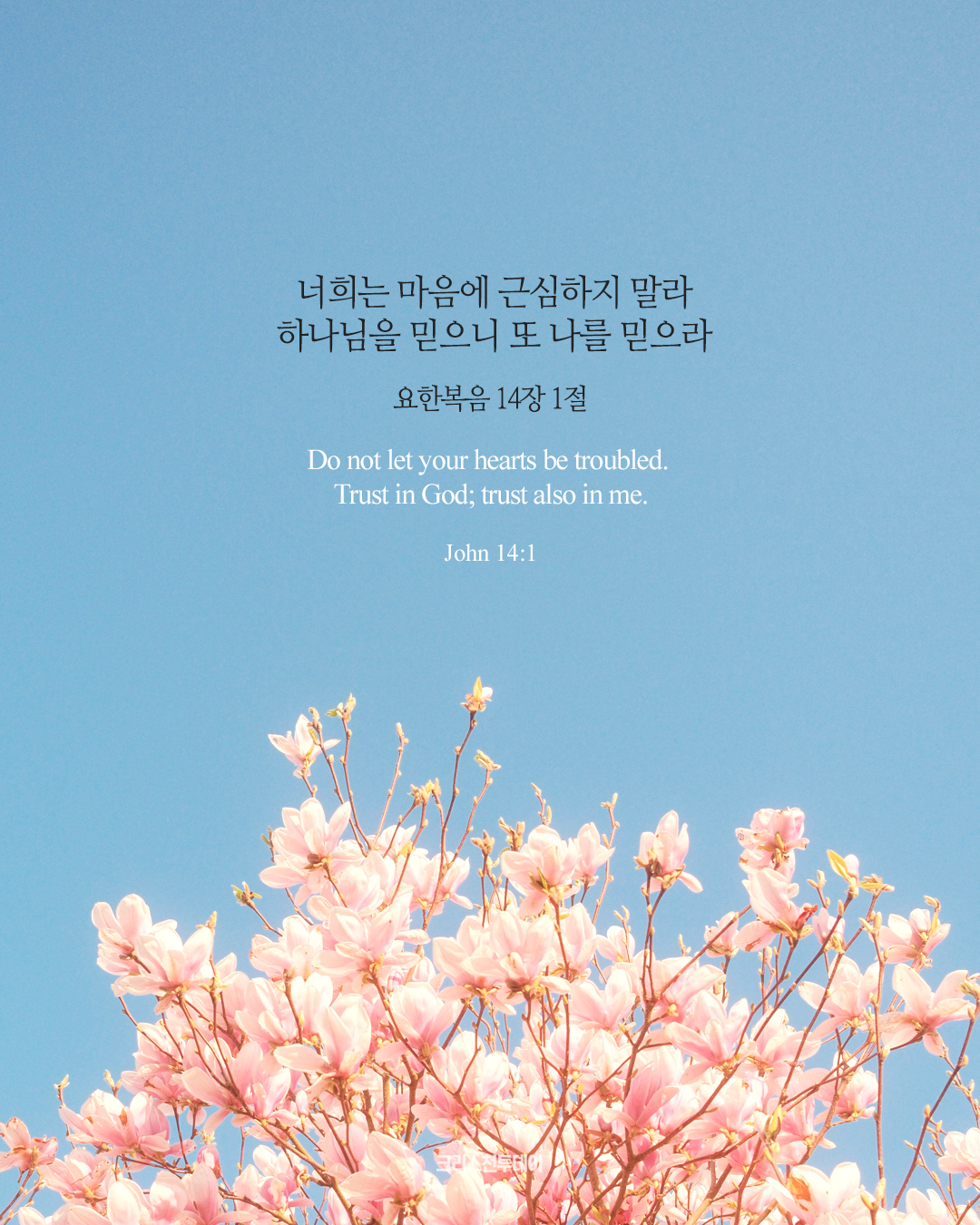 클릭시 이미지 새창.