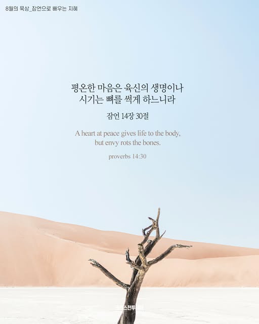 클릭시 이미지 새창.
