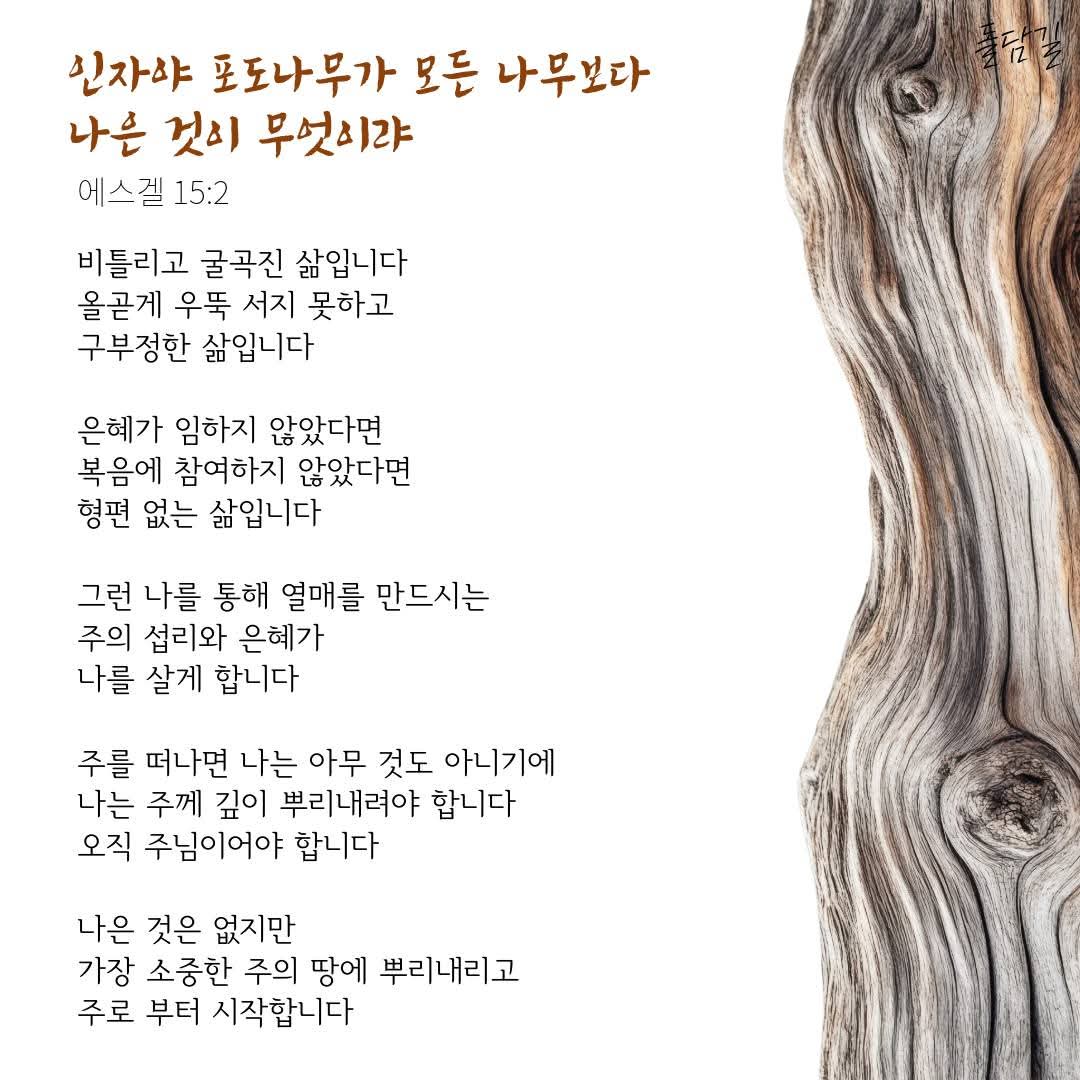 클릭시 이미지 새창.