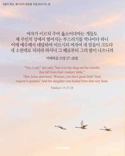 클릭시 이미지 새창.