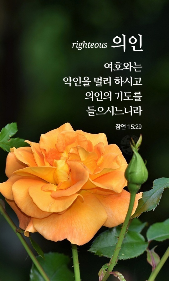 클릭시 이미지 새창.