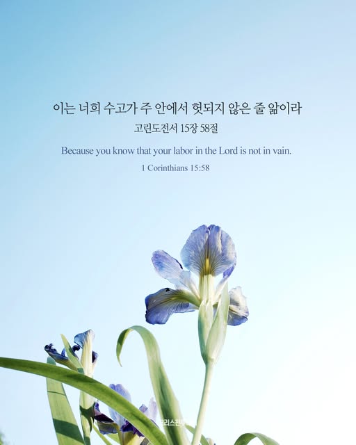 클릭시 이미지 새창.