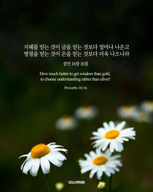 클릭시 이미지 새창.