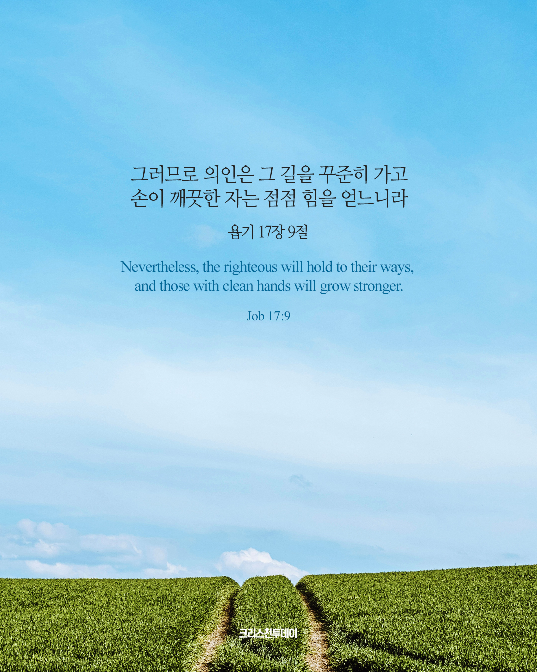 클릭시 이미지 새창.