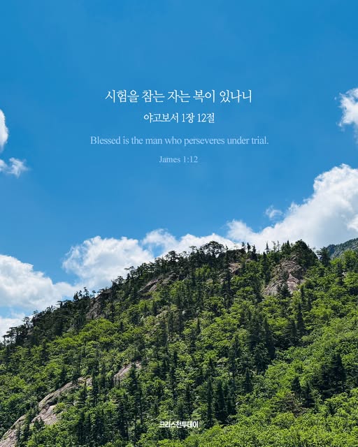 클릭시 이미지 새창.