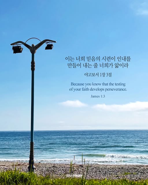 클릭시 이미지 새창.