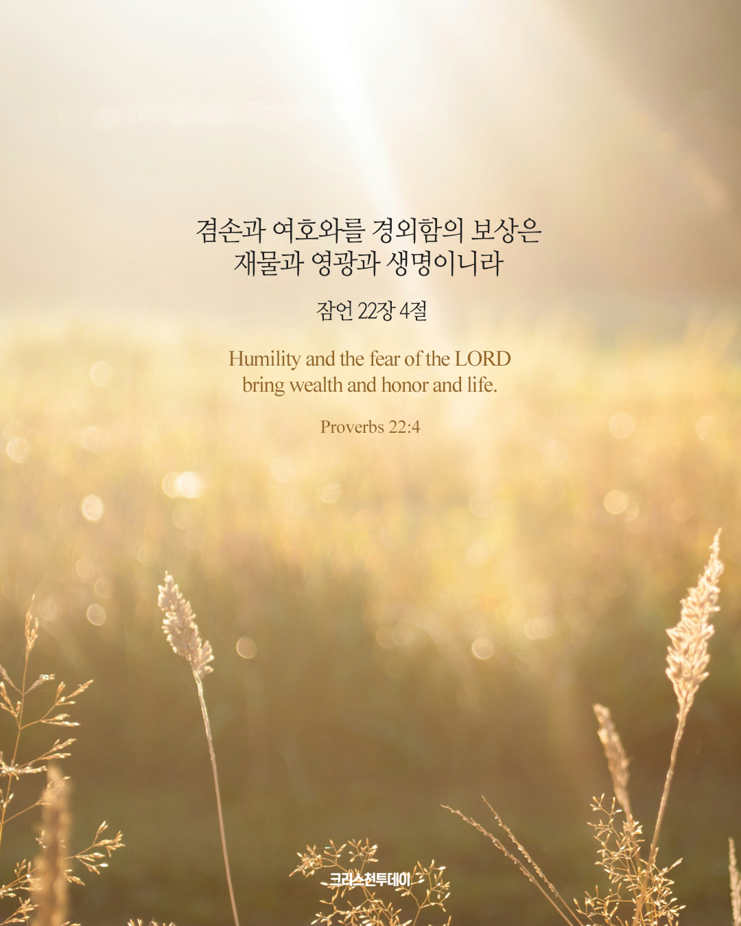 클릭시 이미지 새창.