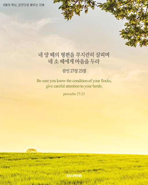 클릭시 이미지 새창.