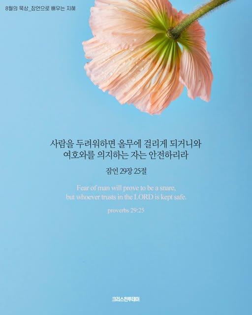 클릭시 이미지 새창.