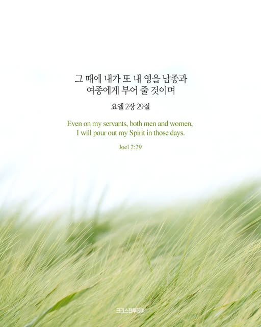 클릭시 이미지 새창.