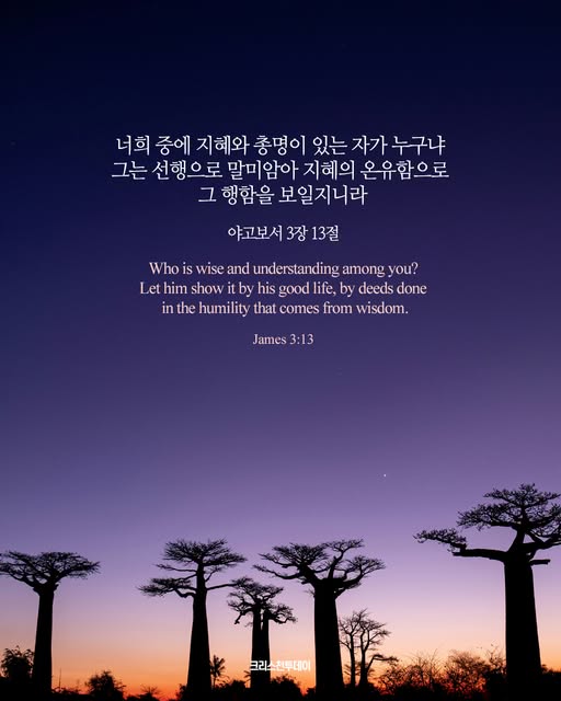 클릭시 이미지 새창.