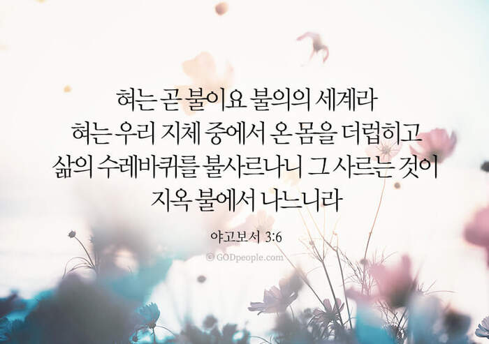 클릭시 이미지 새창.