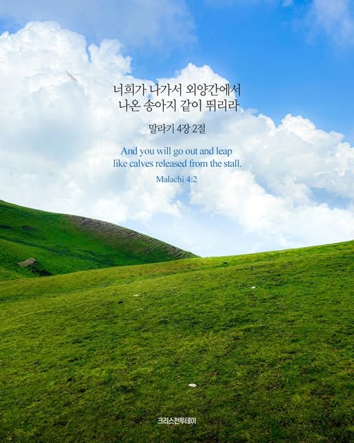 클릭시 이미지 새창.