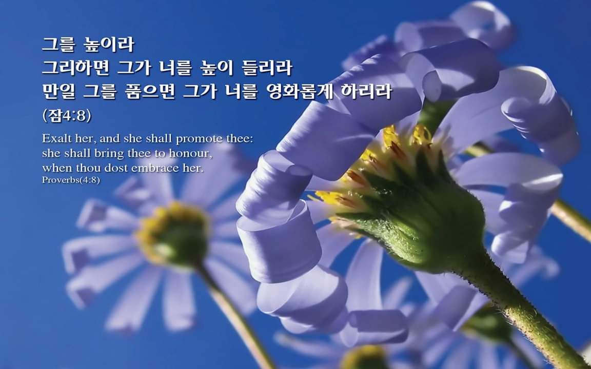 클릭시 이미지 새창.