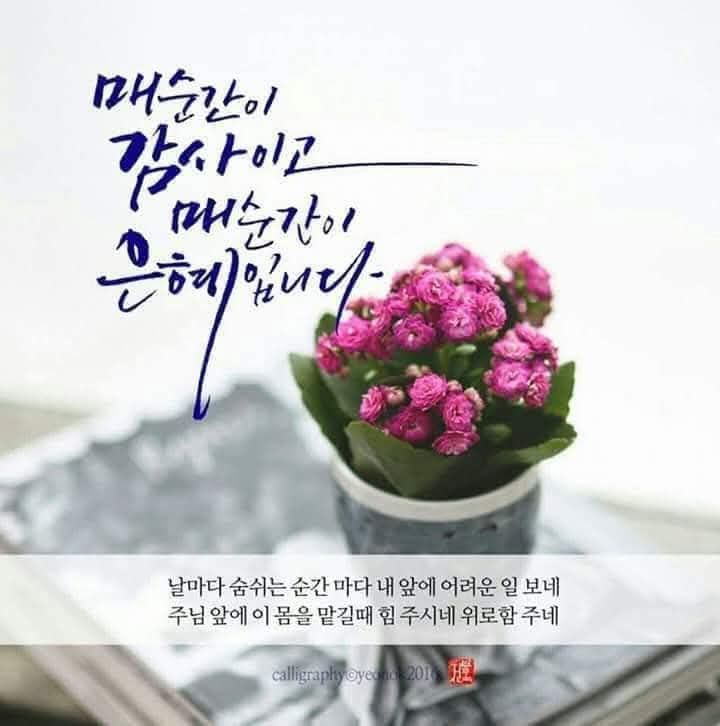 클릭시 이미지 새창.