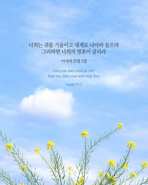 클릭시 이미지 새창.