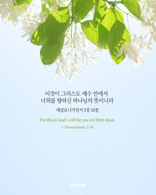 클릭시 이미지 새창.