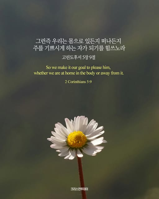 클릭시 이미지 새창.