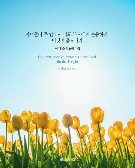 클릭시 이미지 새창.