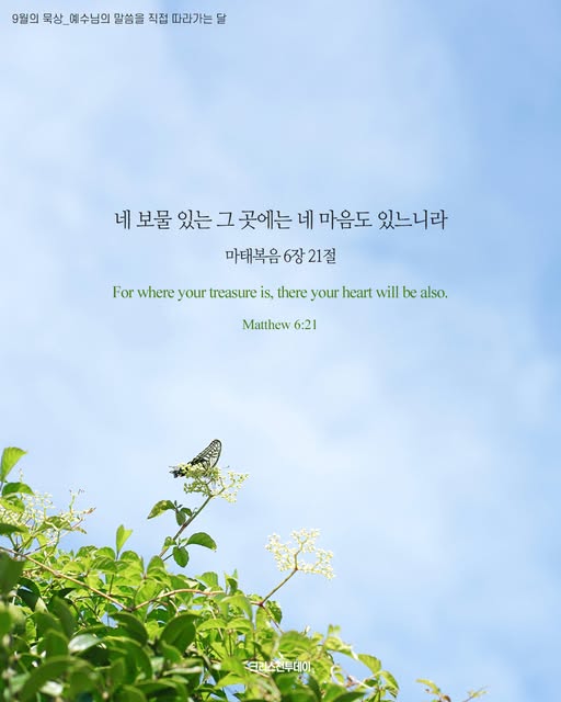 클릭시 이미지 새창.