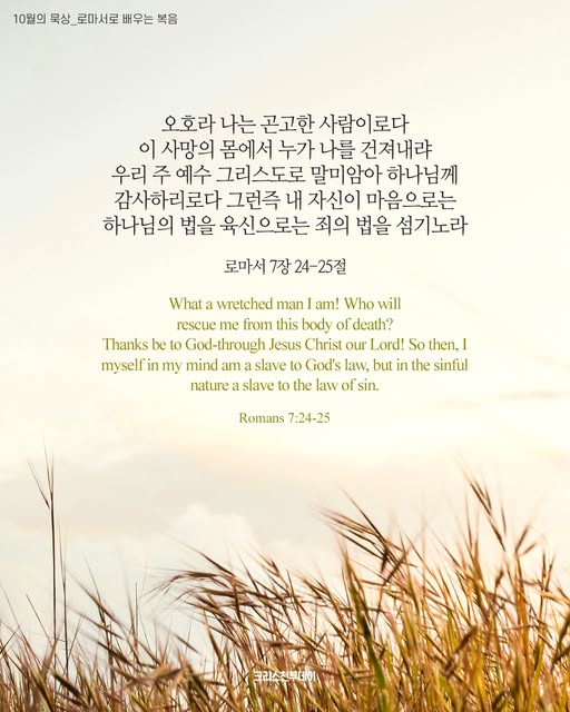 클릭시 이미지 새창.