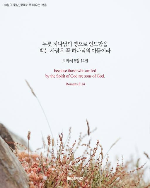 클릭시 이미지 새창.