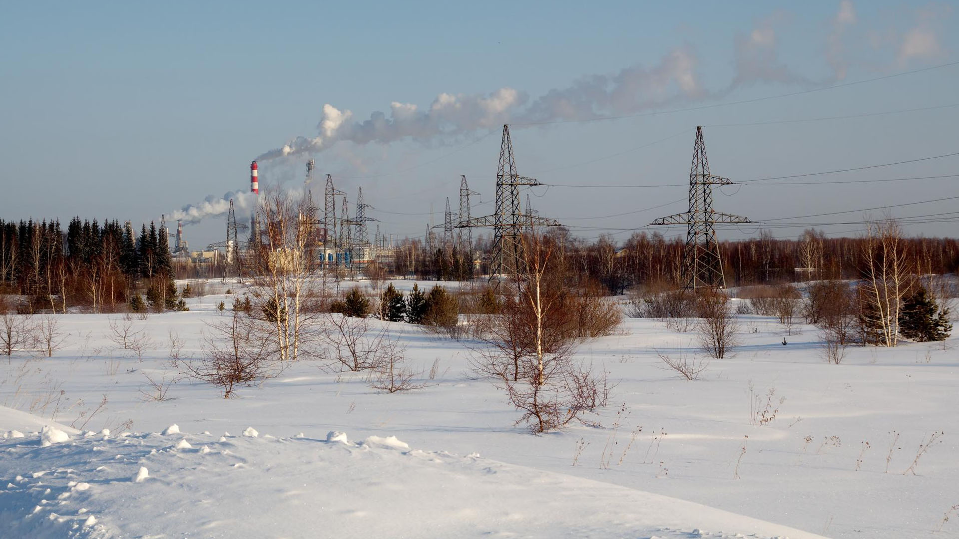 클릭시 이미지 새창.